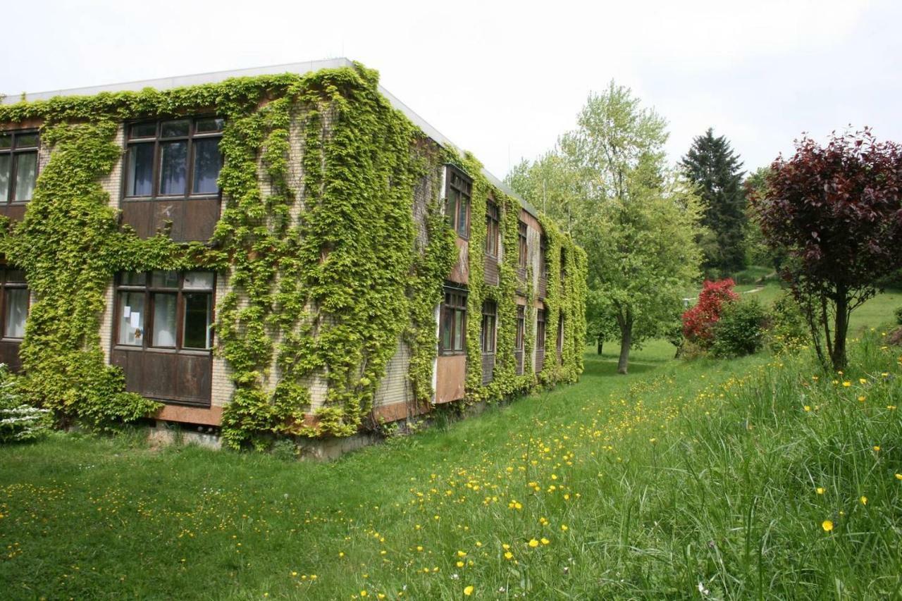 Waldblick Appartement Ober-Hambach Exterior photo